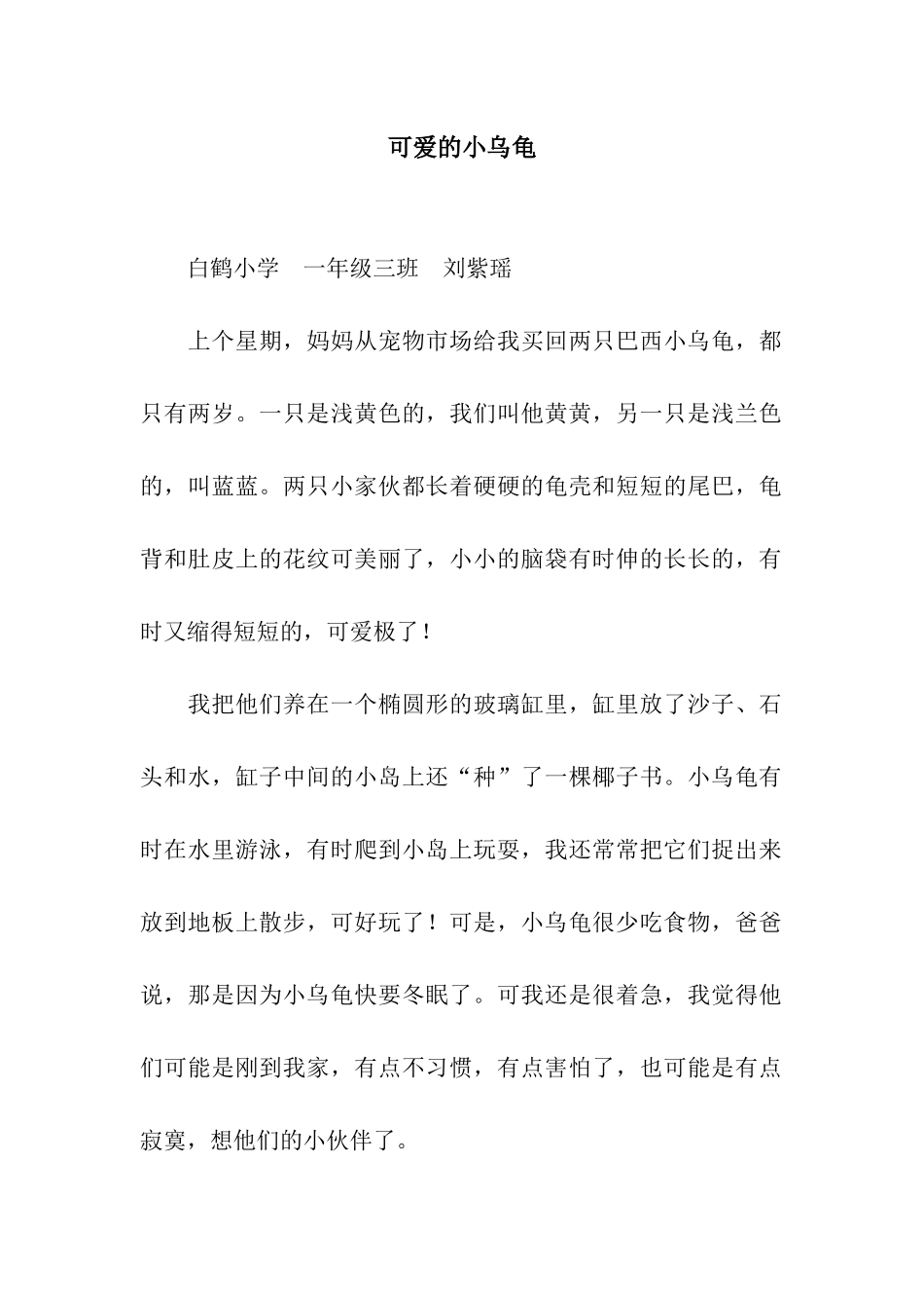 可爱的小乌龟_第1页