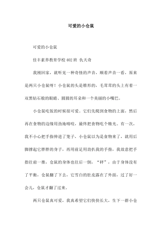 可爱的小仓鼠-3