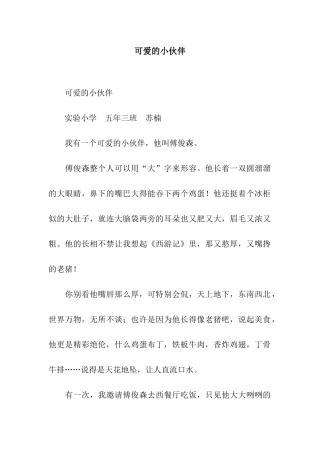 可爱的小伙伴