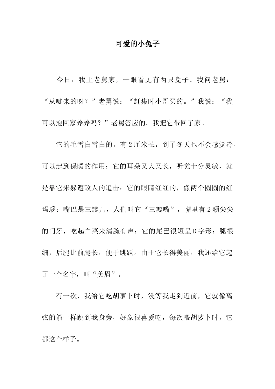 可爱的小兔子_第1页