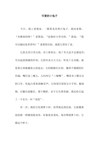 可爱的小兔子