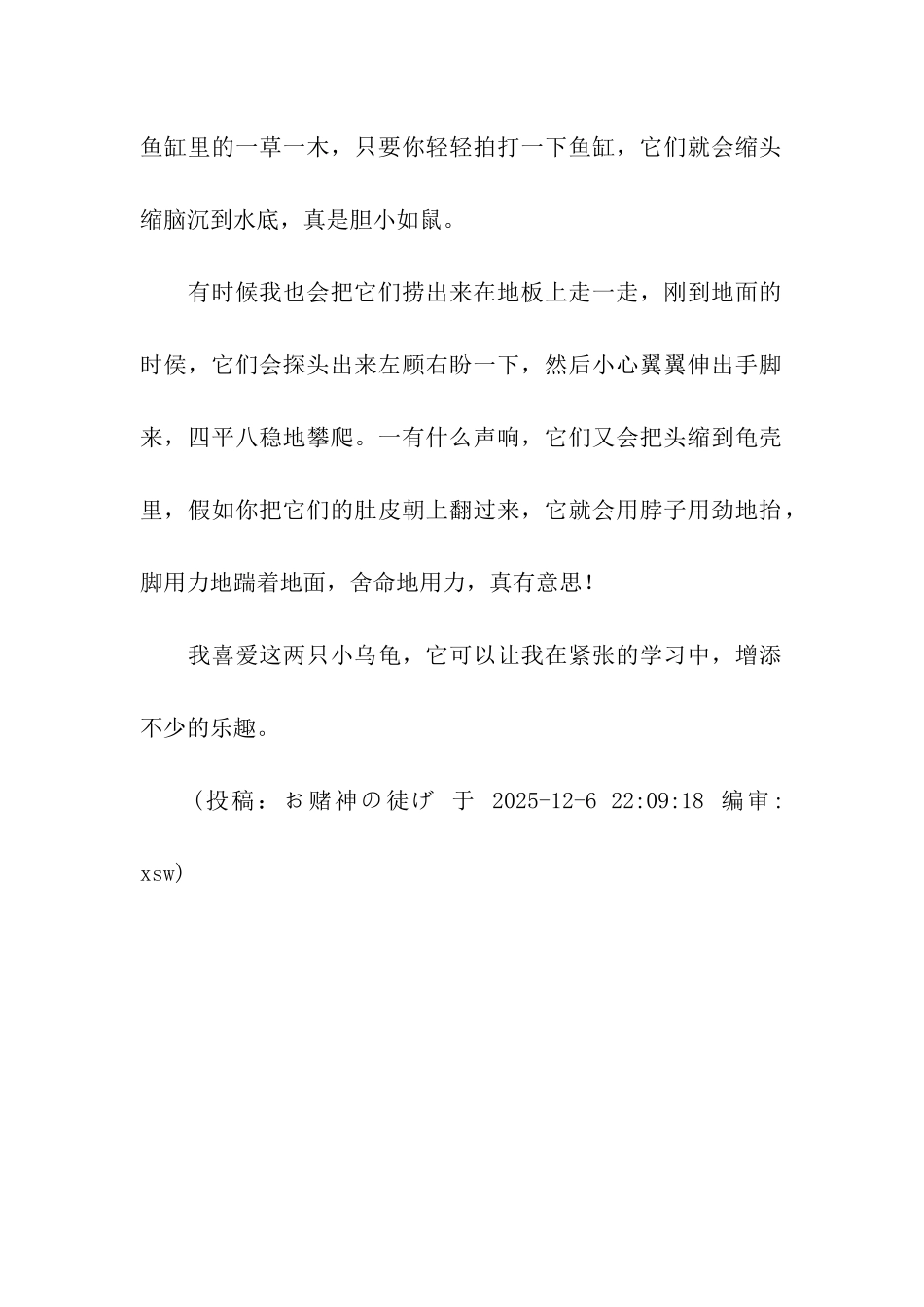 可爱的小巴西龟_第2页