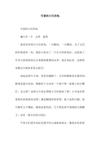 可爱的小巴西龟