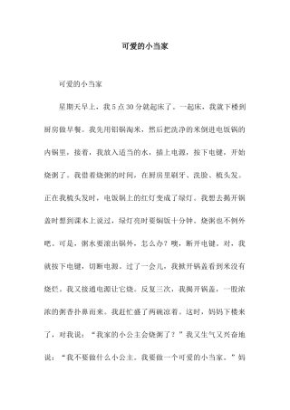 可爱的小当家-2