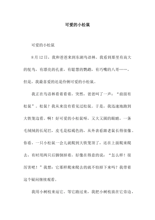 可爱的小松鼠-5