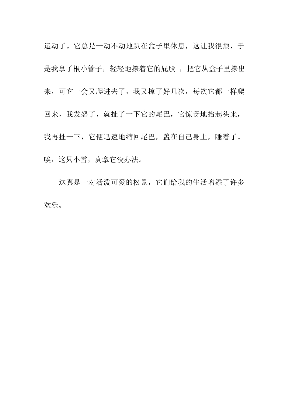 可爱的小松鼠-3_第2页