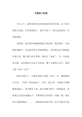 可爱的小松鼠-3