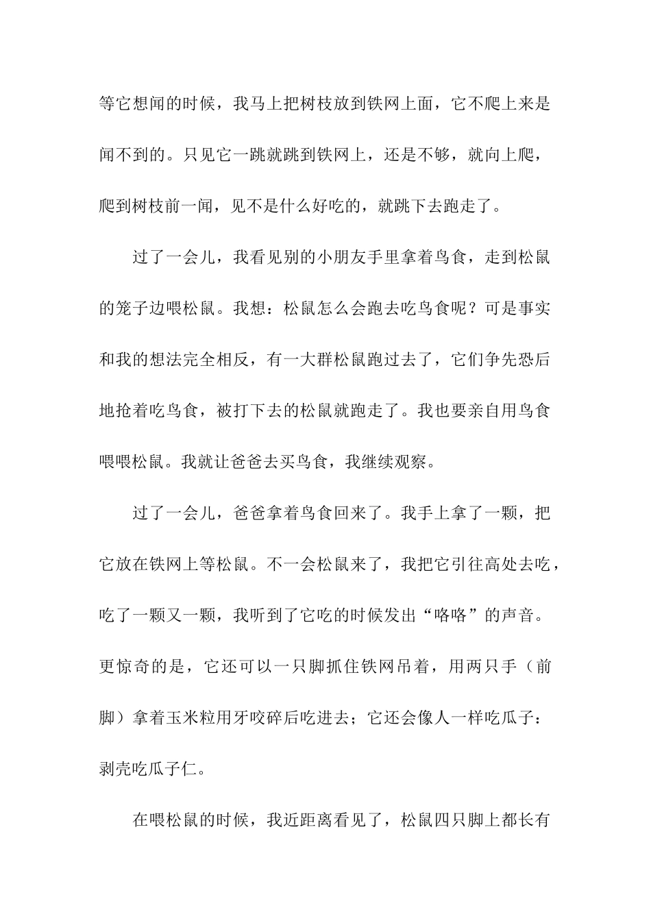 可爱的小松鼠_第2页