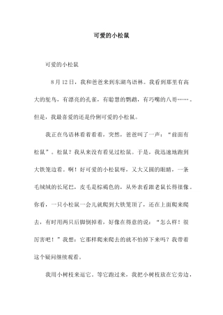 可爱的小松鼠