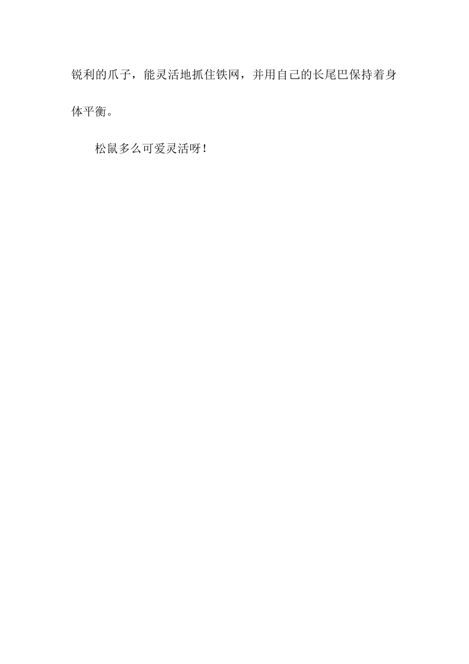 可爱的小松鼠-6_第3页