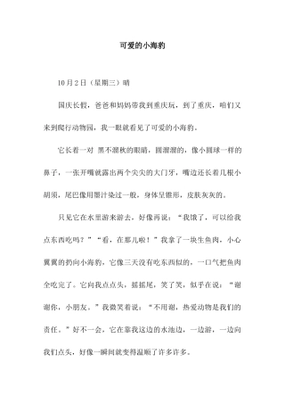 可爱的小海豹