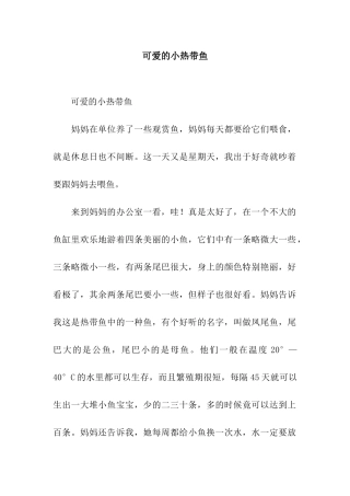 可爱的小热带鱼-3