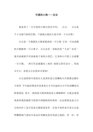 可爱的小狗——豆豆