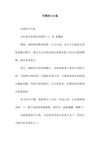 可爱的小白兔-4