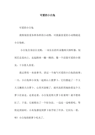 可爱的小白兔-6