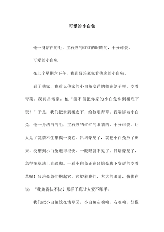 可爱的小白兔-7