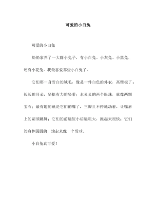 可爱的小白兔-9