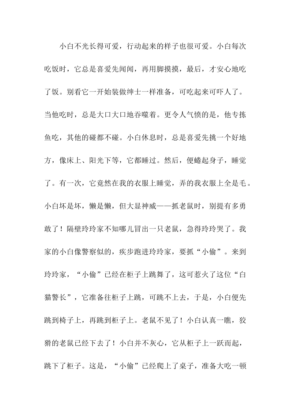 可爱的小白猫——小白-3_第2页