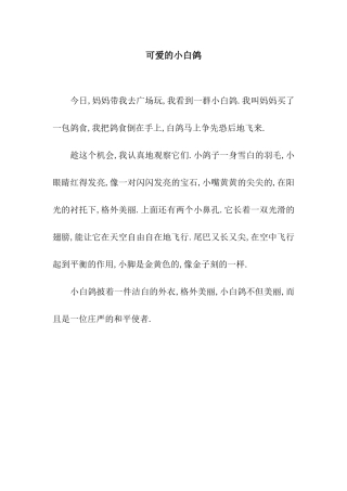 可爱的小白鸽