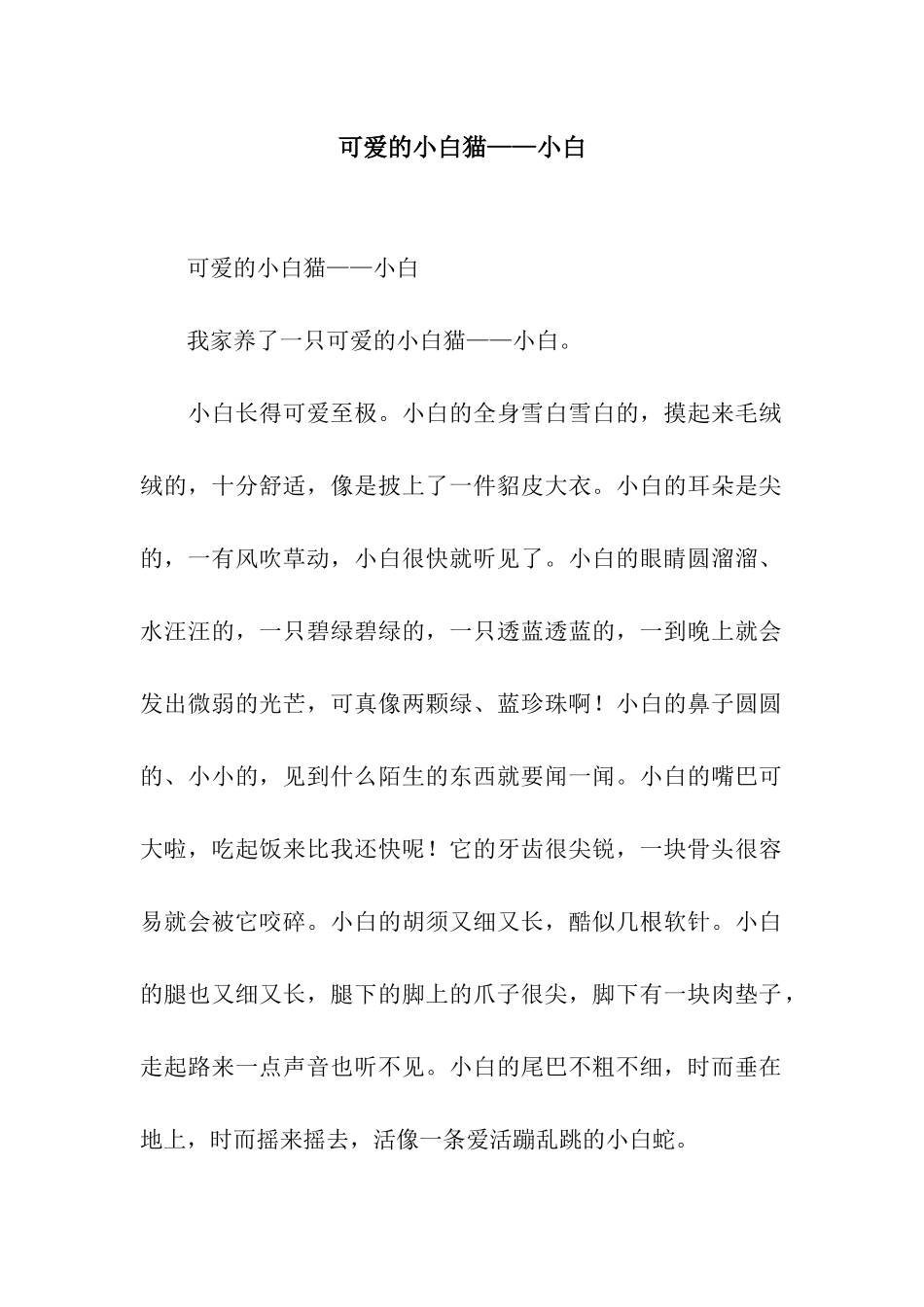 可爱的小白猫——小白_第1页