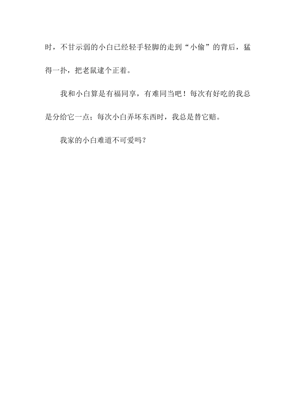 可爱的小白猫——小白_第3页