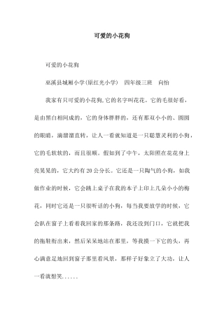 可爱的小花狗