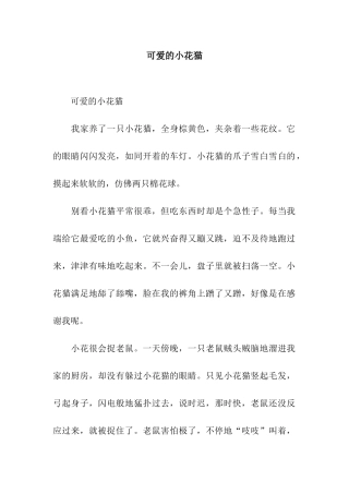 可爱的小花猫-4