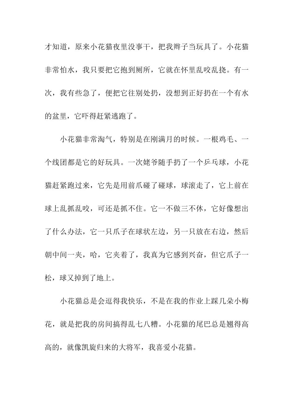可爱的小花猫-7_第2页