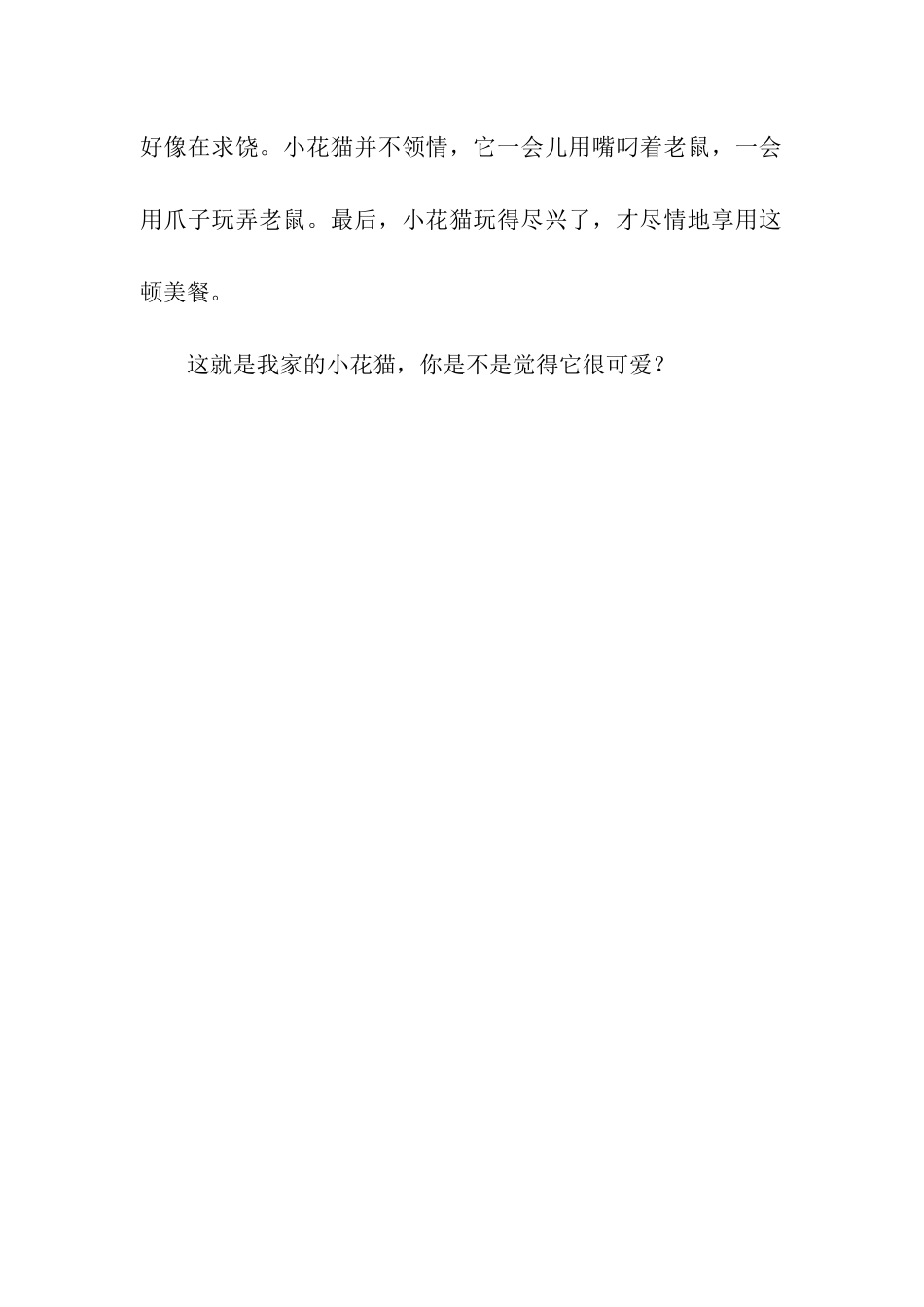 可爱的小花猫-9_第2页