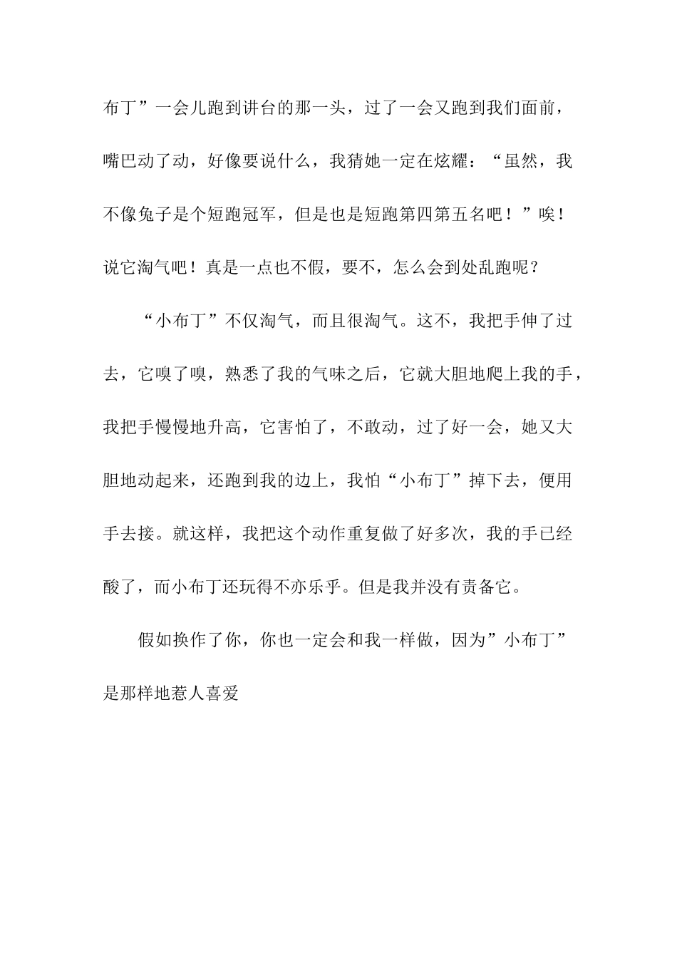 可爱的小金丝熊-2_第2页