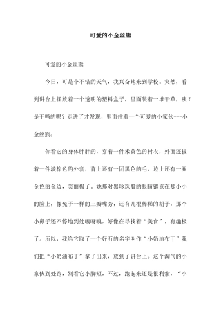 可爱的小金丝熊-2