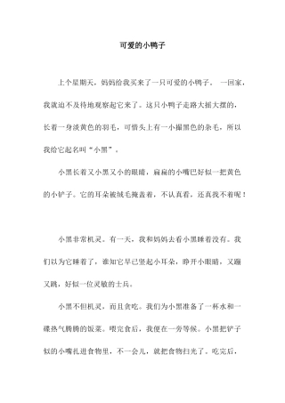 可爱的小鸭子-4