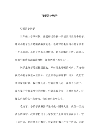 可爱的小鸭子-5