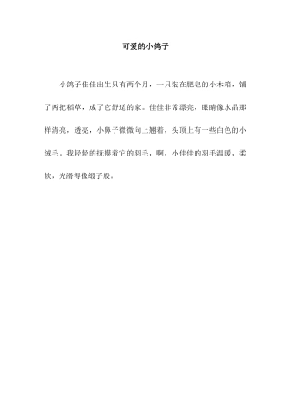 可爱的小鸽子