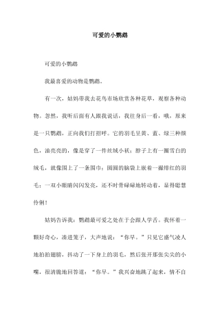 可爱的小鹦鹉-4