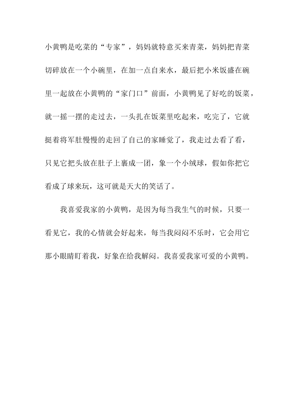 可爱的小黄鸭-2_第2页