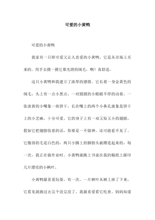 可爱的小黄鸭-3