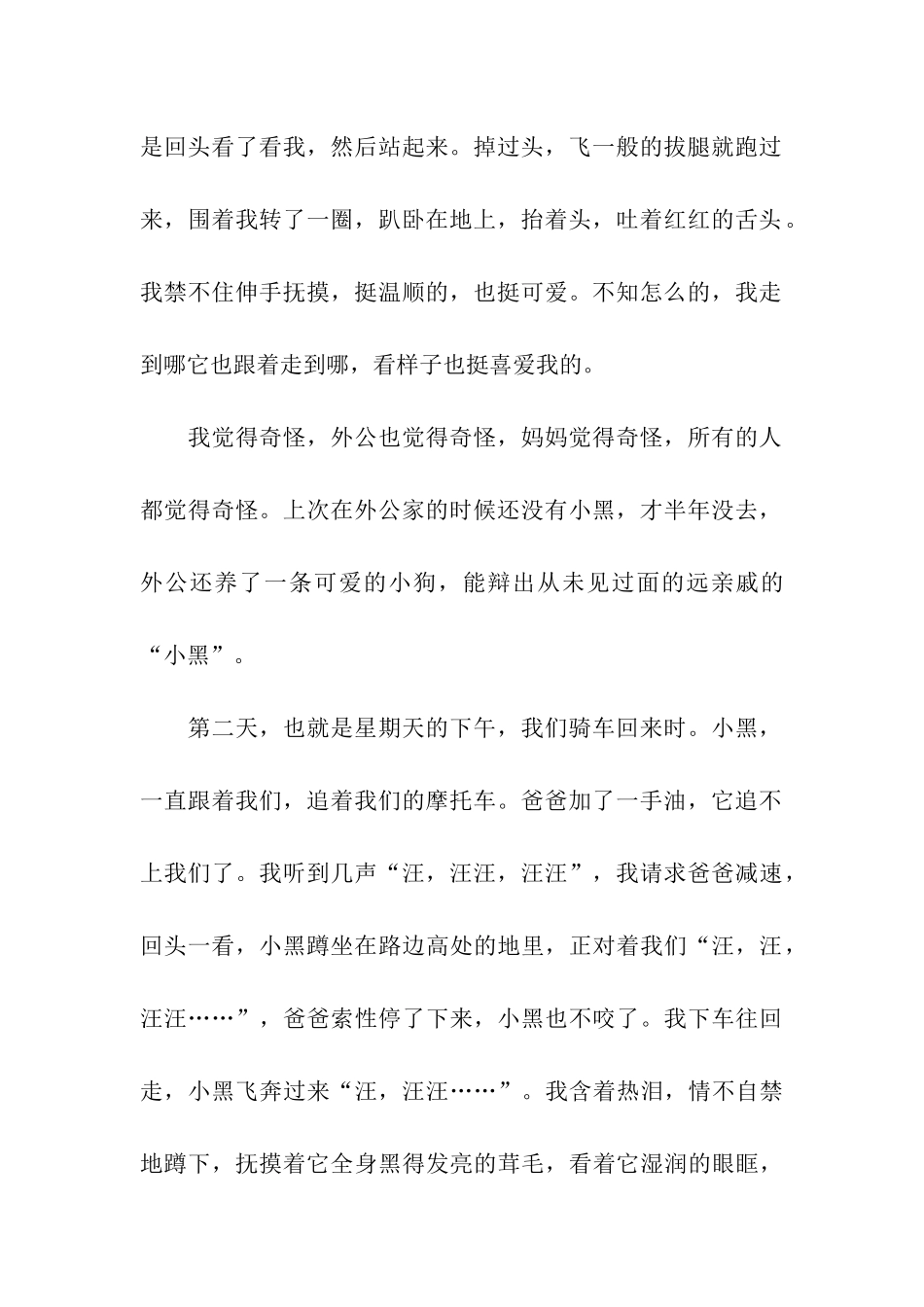 可爱的小黑狗-5_第3页