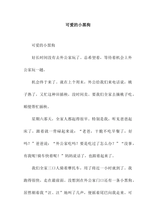 可爱的小黑狗-2