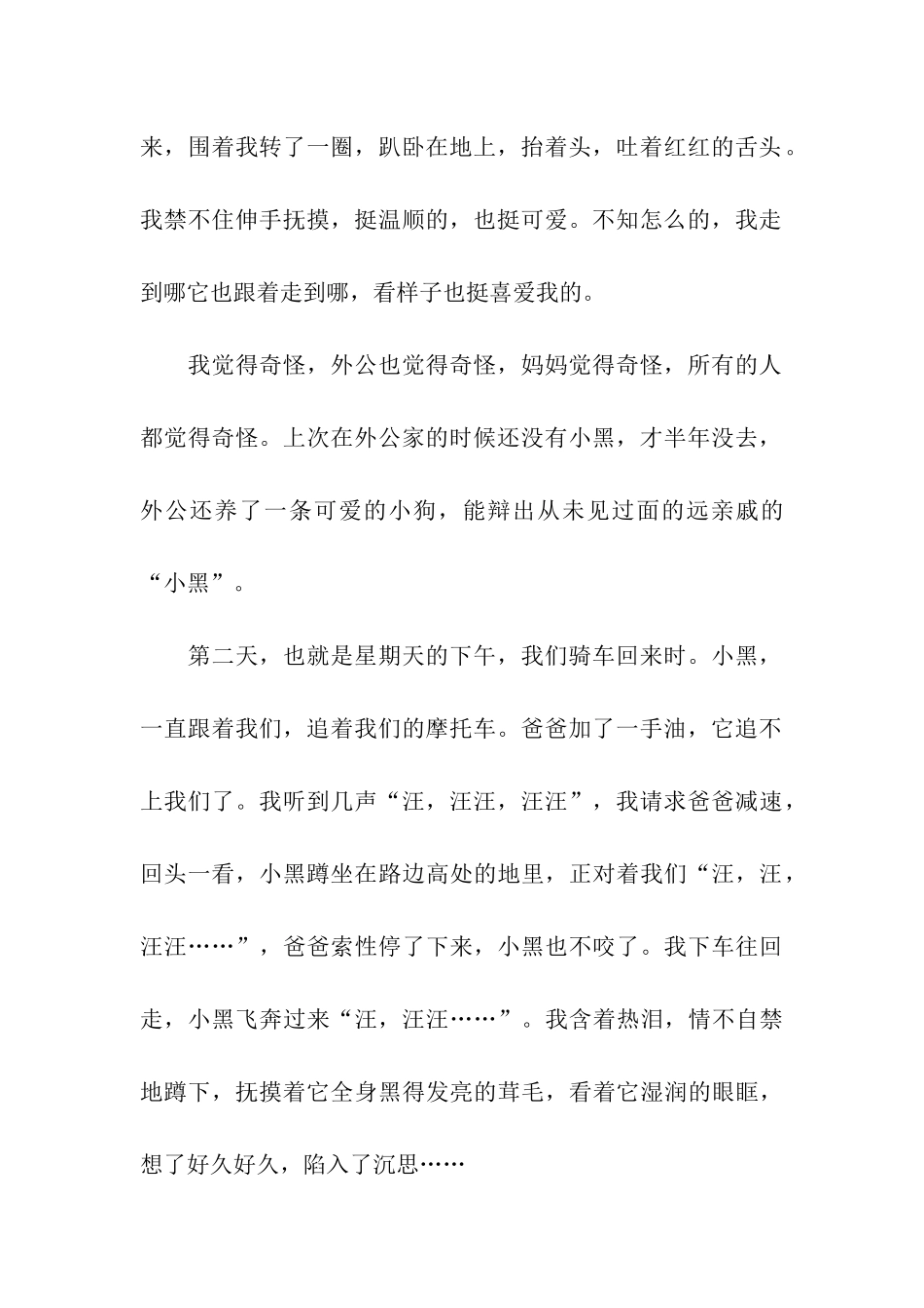 可爱的小黑狗-3_第3页