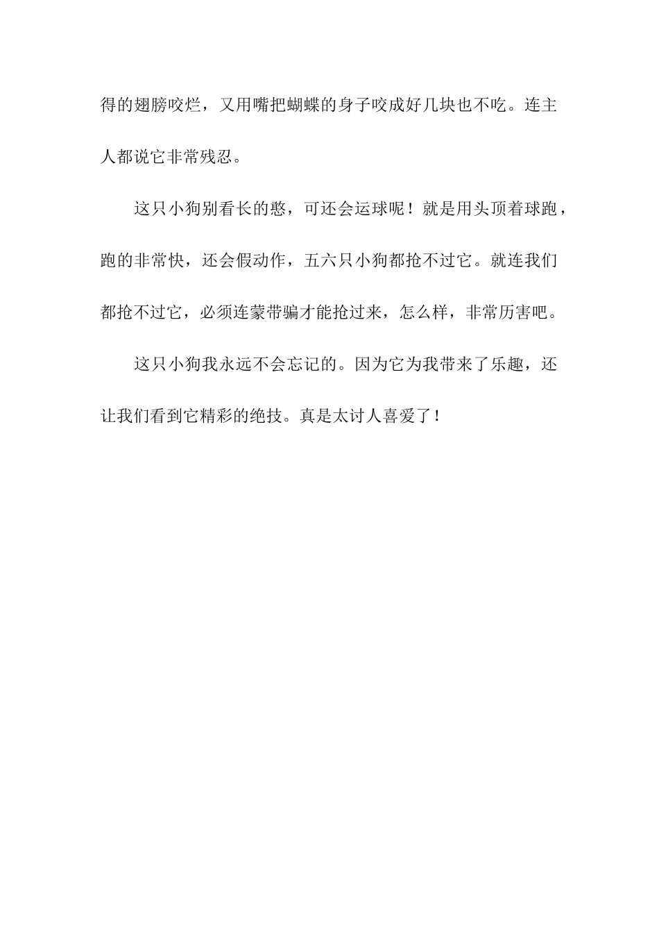 可爱的憨小狗-2_第2页