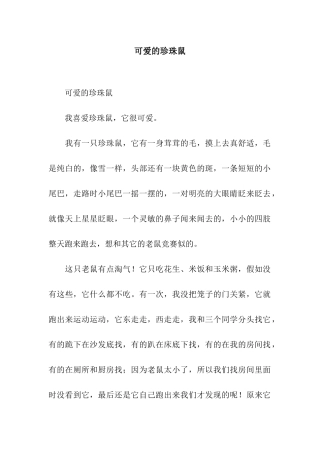 可爱的珍珠鼠-2