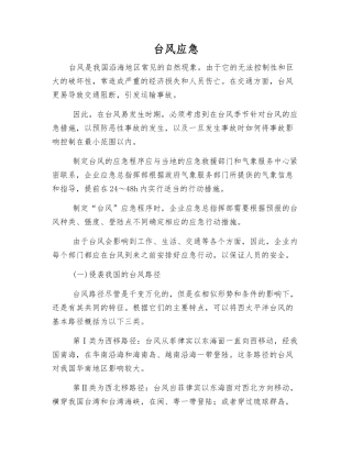 台风应急-精品文档
