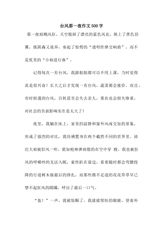 台风那一夜作文500字