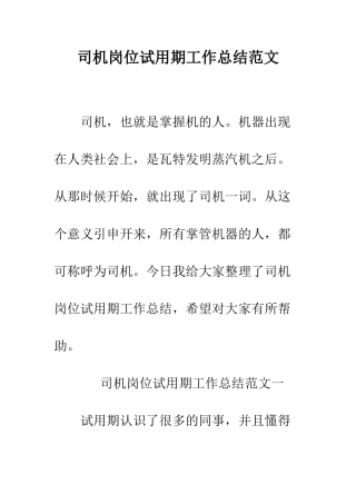 司机岗位试用期工作总结范文--精编范文