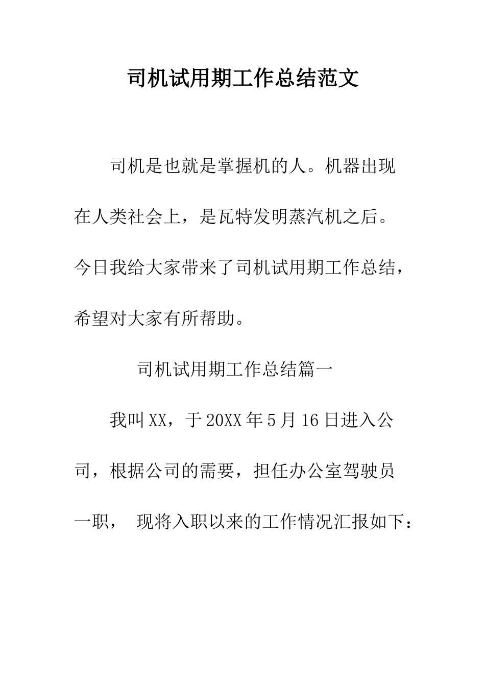 司机试用期工作总结范文--精编范文_第1页