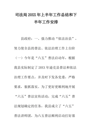 司法局2025年上半年工作总结和下半年工作安排--精编范文
