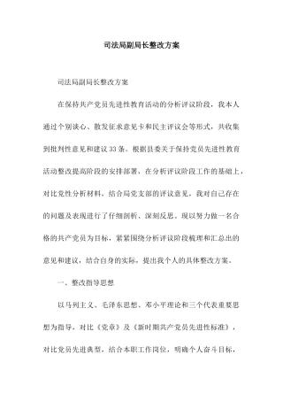 司法局副局长整改方案