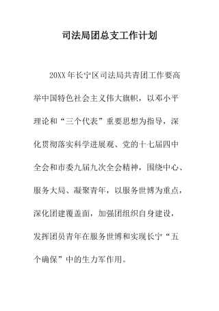 司法局团总支工作计划--精编范文