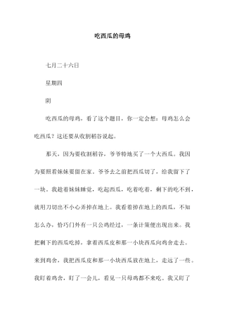 吃西瓜的母鸡